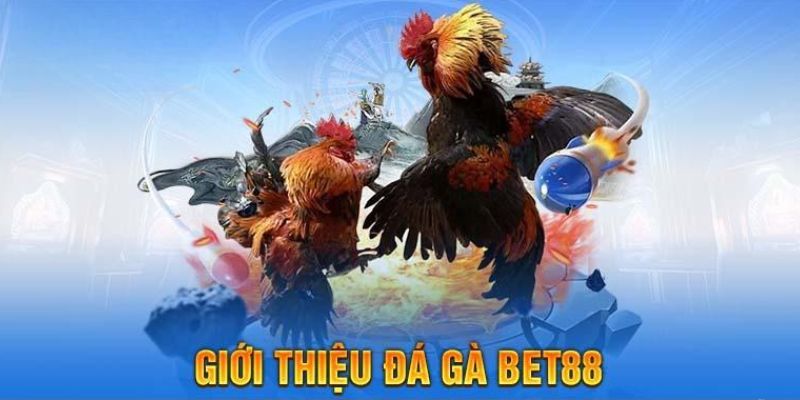 Đá gà online BET88 uy tín chất lượng